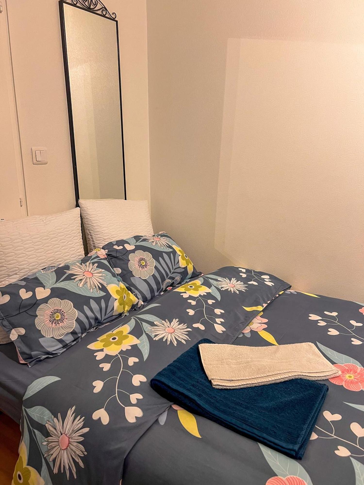 Havre De Paix 2-3 Pieces Apartment Страсбург Екстериор снимка